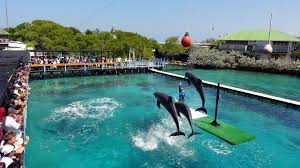OCEANARIO san martin